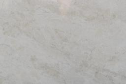 1603-fulgento-Closeup